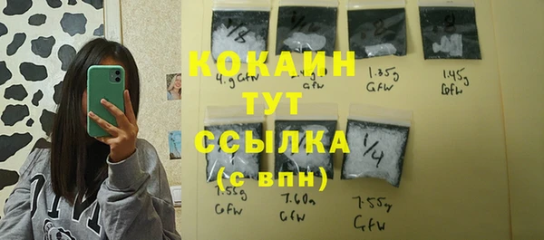spice Алексин