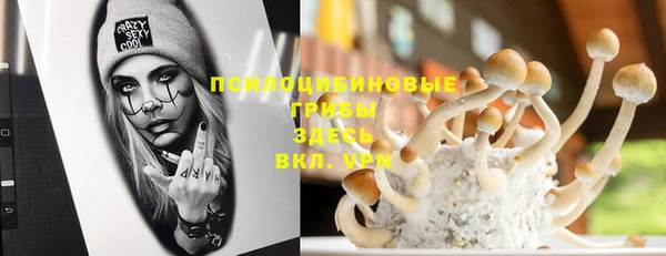 соль курить ск Алзамай