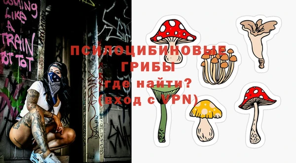 соль курить ск Алзамай