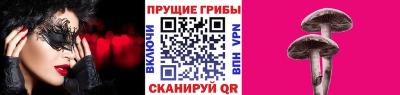 Галлюциногенные грибы Magic Shrooms  Приозерск 