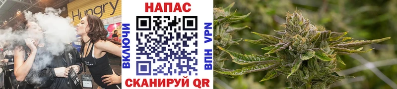 Бошки марихуана White Widow  сколько стоит  Приозерск 
